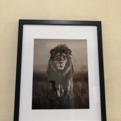 Framed Wall Art picture
