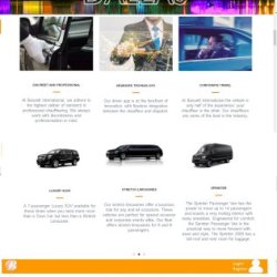 Web Design that Captivates and Converts | Web Design Services (917) 651-8495 picture