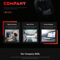 Responsive Website Development Services | Web Design Services +1(917) 651-8495 picture