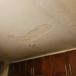 Water Damage Restoration  ** CALL or TXT +1(917) 651-8495 picture