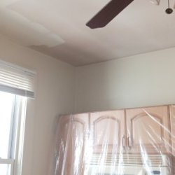 🧑‍🎨 Quality Drywall Repair for The Bronx ** CALL or TXT +1(917) 651-8495 picture